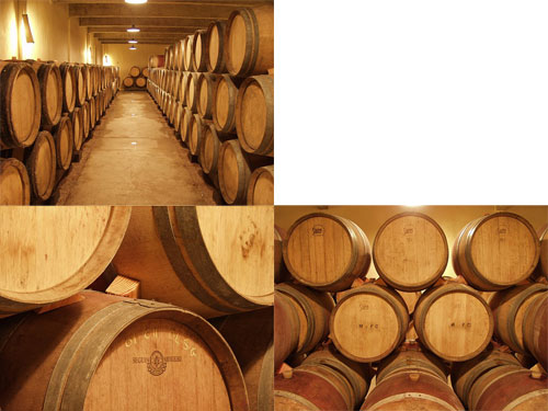 Pic Saint Loup cellar