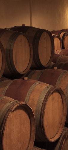 barriques en cave