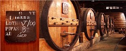 cave du Douro
