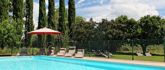 l'ancien verger avec la piscine