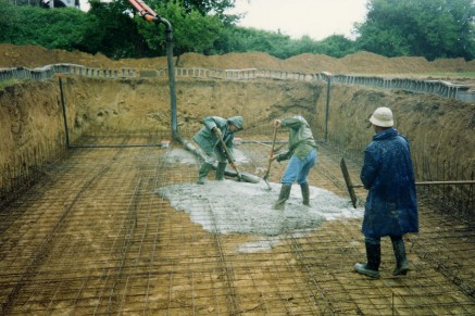 the pool 1994...