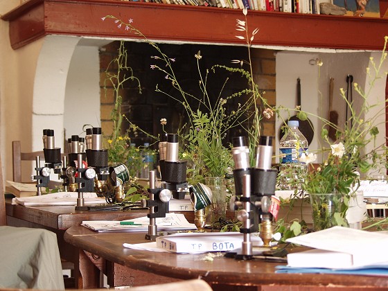 a botanics course