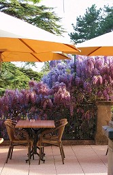 the terrace in front of the meeting room
