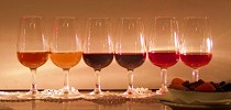 les couleurs du porto