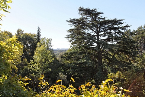 la vue de la terrasse de la Tonnelle