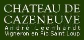 Château de Cazeneuve